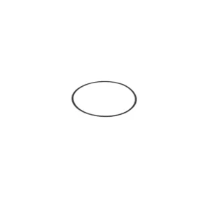 DJI Agras T25/T50 Anillo de sellado del motor