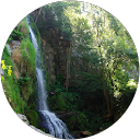 david e. profile picture