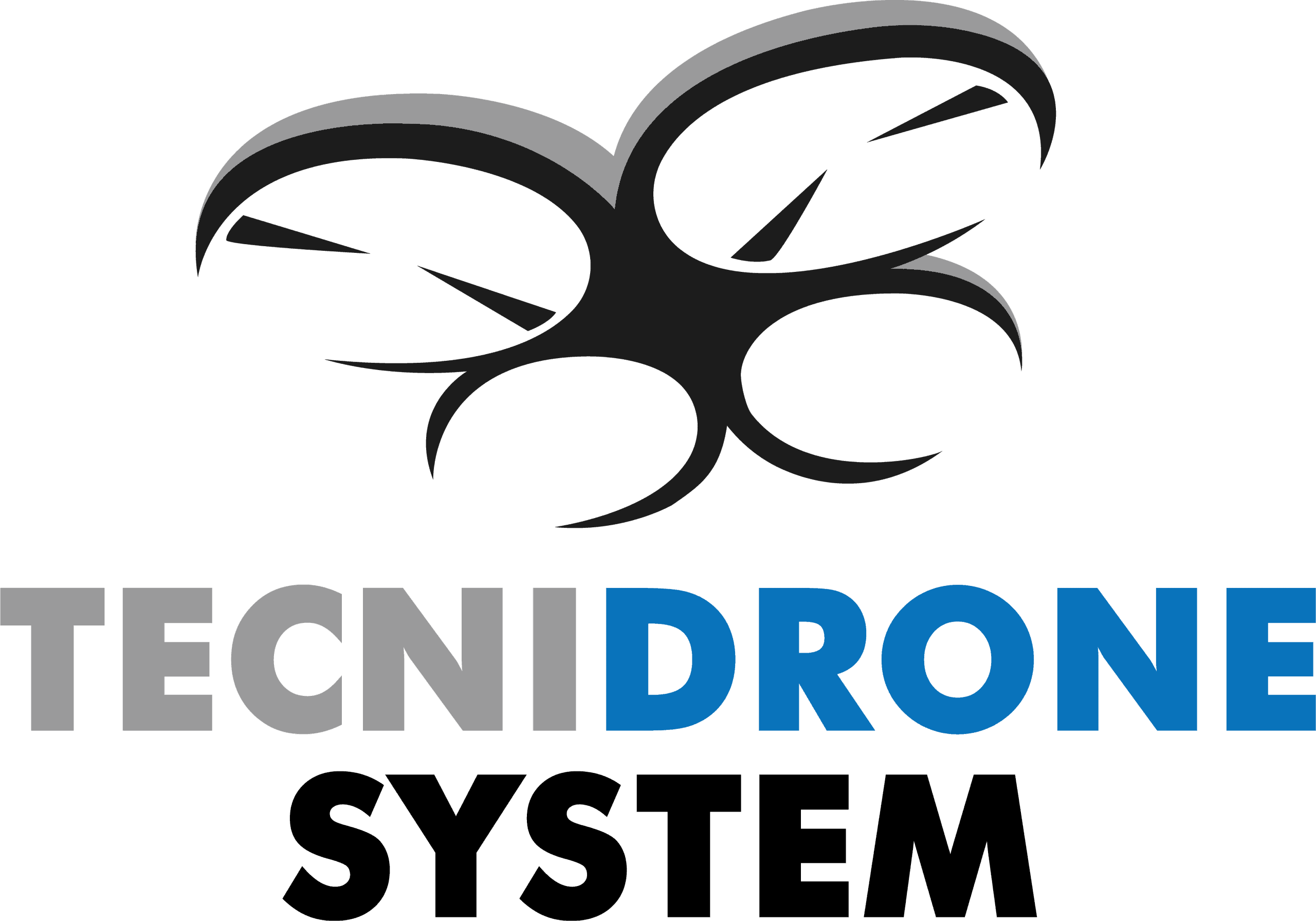 TecniDrone System